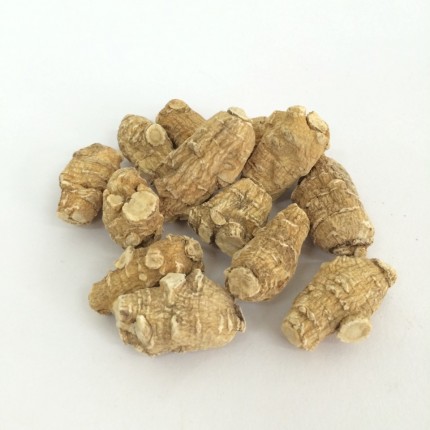 120粒泡參 (每兩)